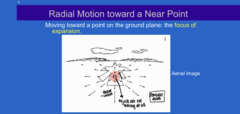 <p>Radial Motion Towards a Near Point (Pic)</p>