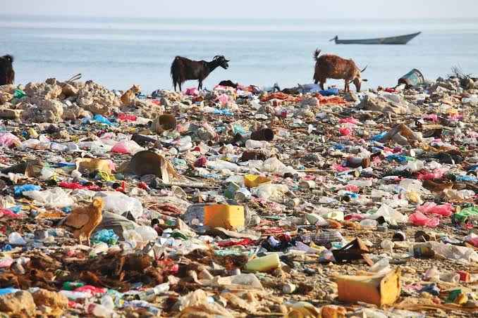 <p>environmental pollution [<span>ɪnˌvaɪrənˈmentl pəˈluːʃn]</span></p>