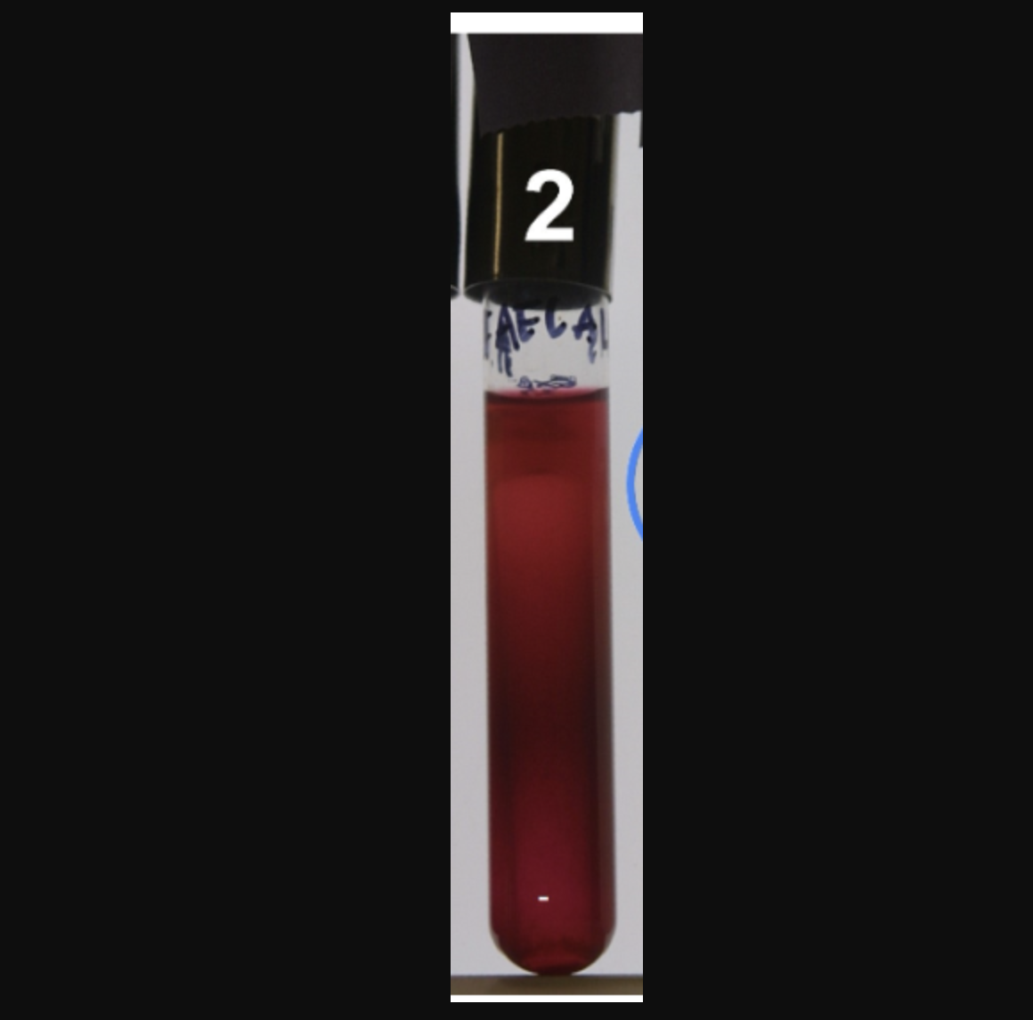 <p>Nitrate test after reagents and Zn added</p>