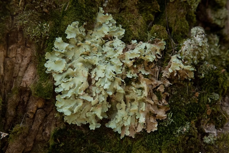 <p>what is this a picture of </p>