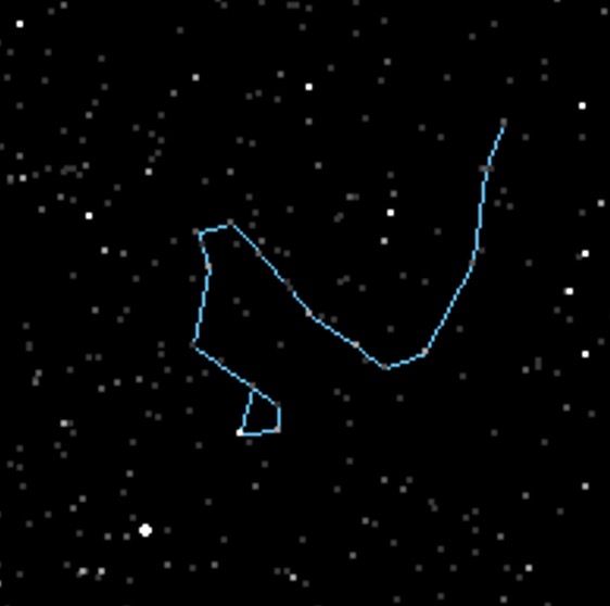 term image