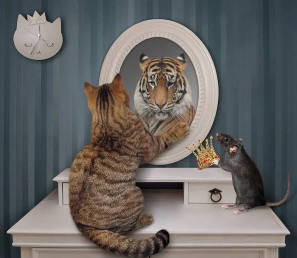 <p><strong>have delusions of grandeur</strong></p>
