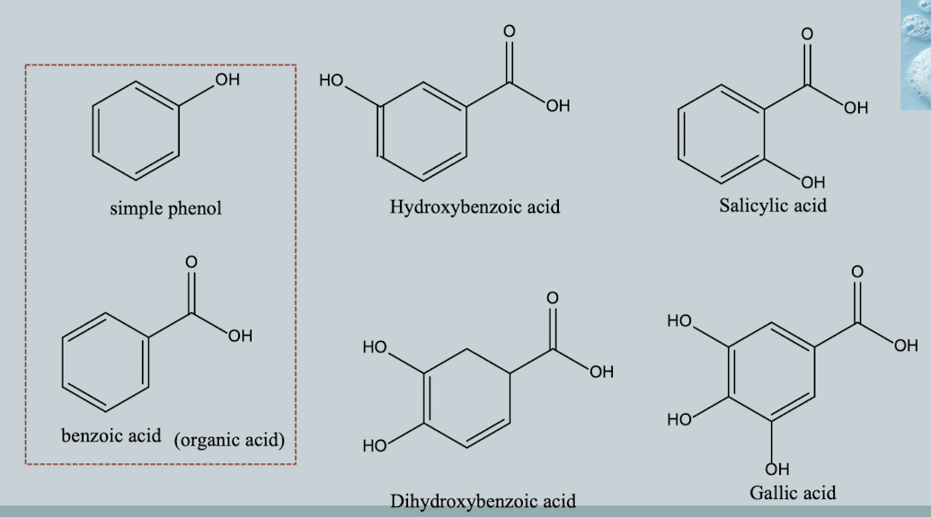 <p>Phenol + carboxylic acid structure</p>