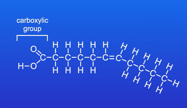 <p>They have at least one double covalent bond between carbon atoms. This is monounsaturated fatty acid as there is only one double covalent bond in carbon chain. If it has more than one double covalent, it is polyunsaturated,</p>