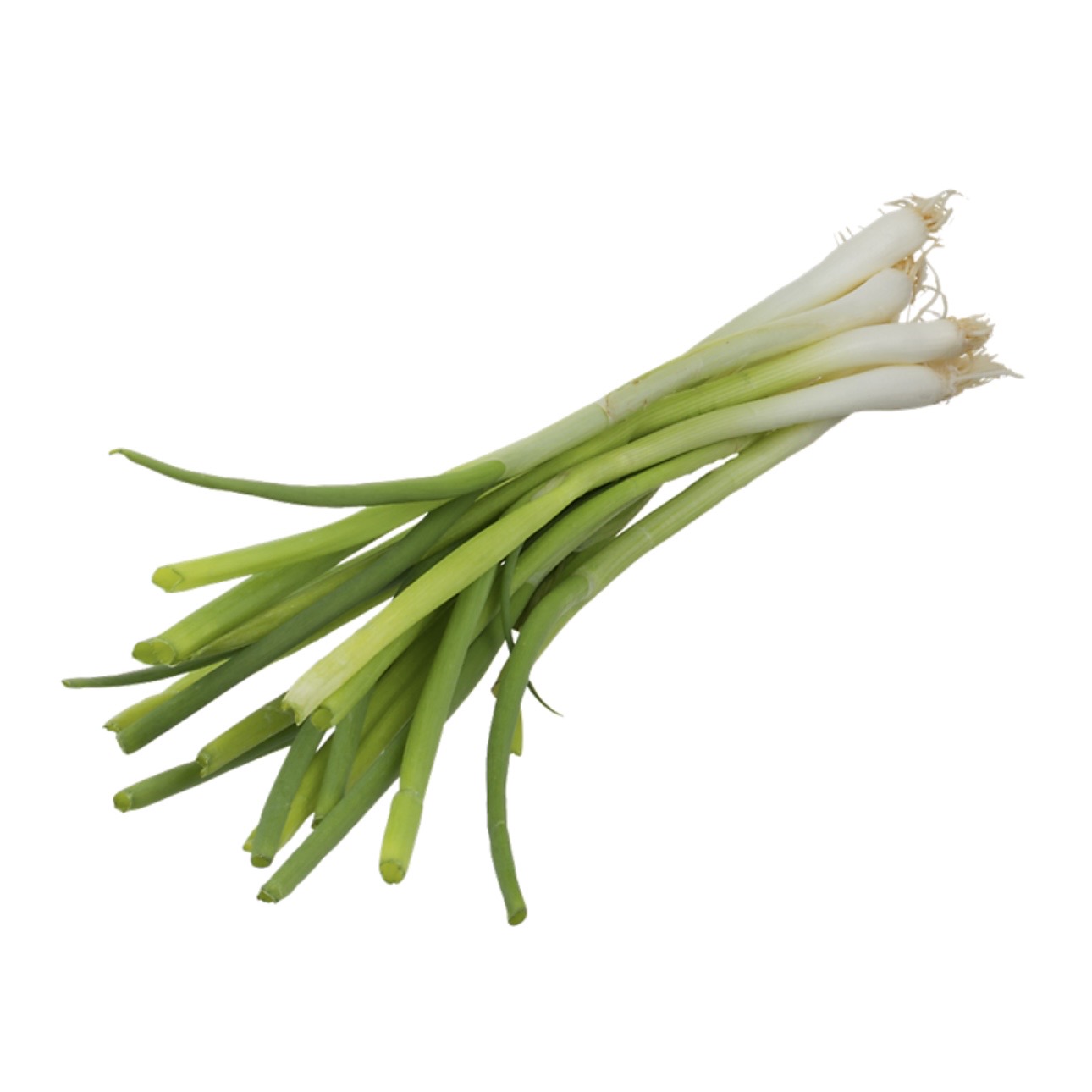 <p>Green onion</p>