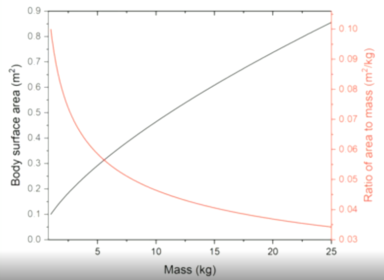 <ul><li><p>Operate as low as 2 degrees e.g. Nova Scotia </p></li><li><p>Being big gives low surface area to volume ratio</p></li><li><p>‘Volume’ produces the heat, surface area loses it</p></li><li><p>Cold-blooded animals operating in cold waters can have unusually high body temperatures </p></li></ul><p></p>