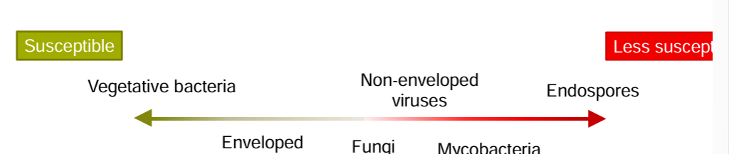 <ul><li><p>varies with killing agent</p></li><li><p>vegetative bacteria are killed at 60-70 for 5 min by denaturation of proteins and disruption of lipi membrane</p></li><li><p>some baceria are adpatd for survival</p></li><li><p>prions can survive dry heat at 200 for 1-2 hours</p></li><li><p></p></li></ul><p></p>