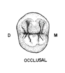 <p>more</p>