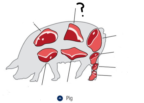 <p>What is this cut of meat?</p>