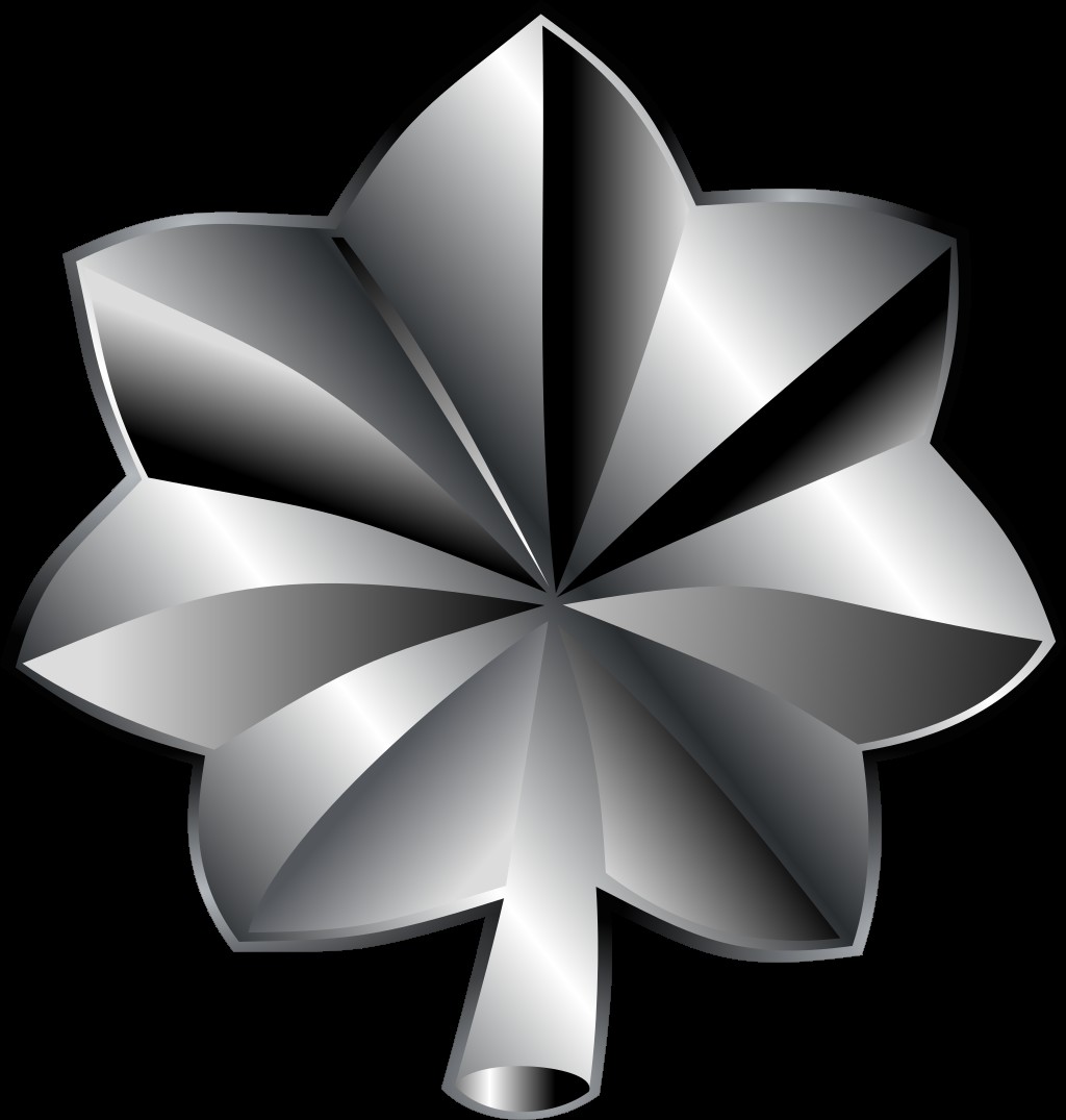 <p>One silver oak leaf</p>