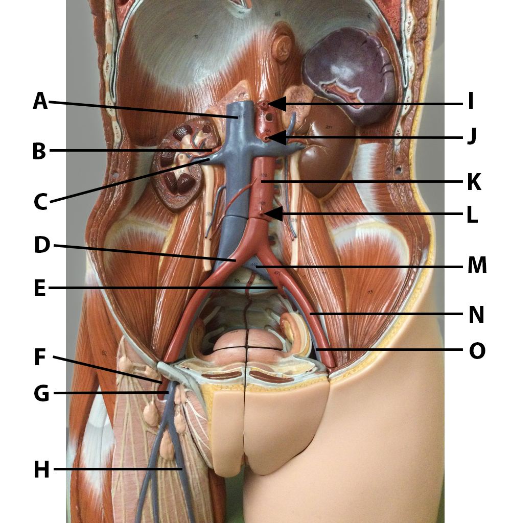 <p>What is J?</p>