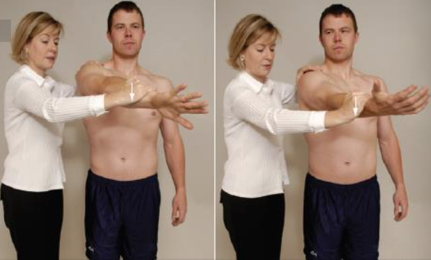 <ul><li><p><span>PURPOSE: To detect SLAP (Type II) or superior labral lesions</span></p></li><li><p><span>DESCRIPTION: Two-part test. The patient stands with his or her involved shoulder at 90 degrees of flexion, 10 degrees of horizontal adduction, and maximum IR with the elbow in extension. In this position, the patient then resists a downward force applied by the clinician to the distal arm. The test is then repeated in the same manner except that the arm is positioned in maximum ER.</span></p></li><li><p><span>RESULT: If pain on the joint line or painful clicking is produced inside the shoulder (not over the acromioclavicular joint) in the first part of the test and eliminated or decreased in the second part, the test is considered positive for labral abnormalities.</span></p></li></ul><p></p>