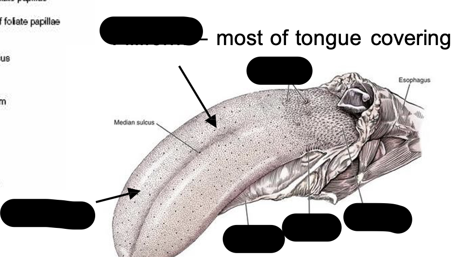 <p>Identify the structures</p>