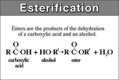 <p>1. H+</p><p>2. MeOH</p>