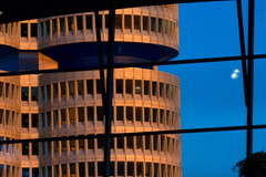 <p>corporation</p>