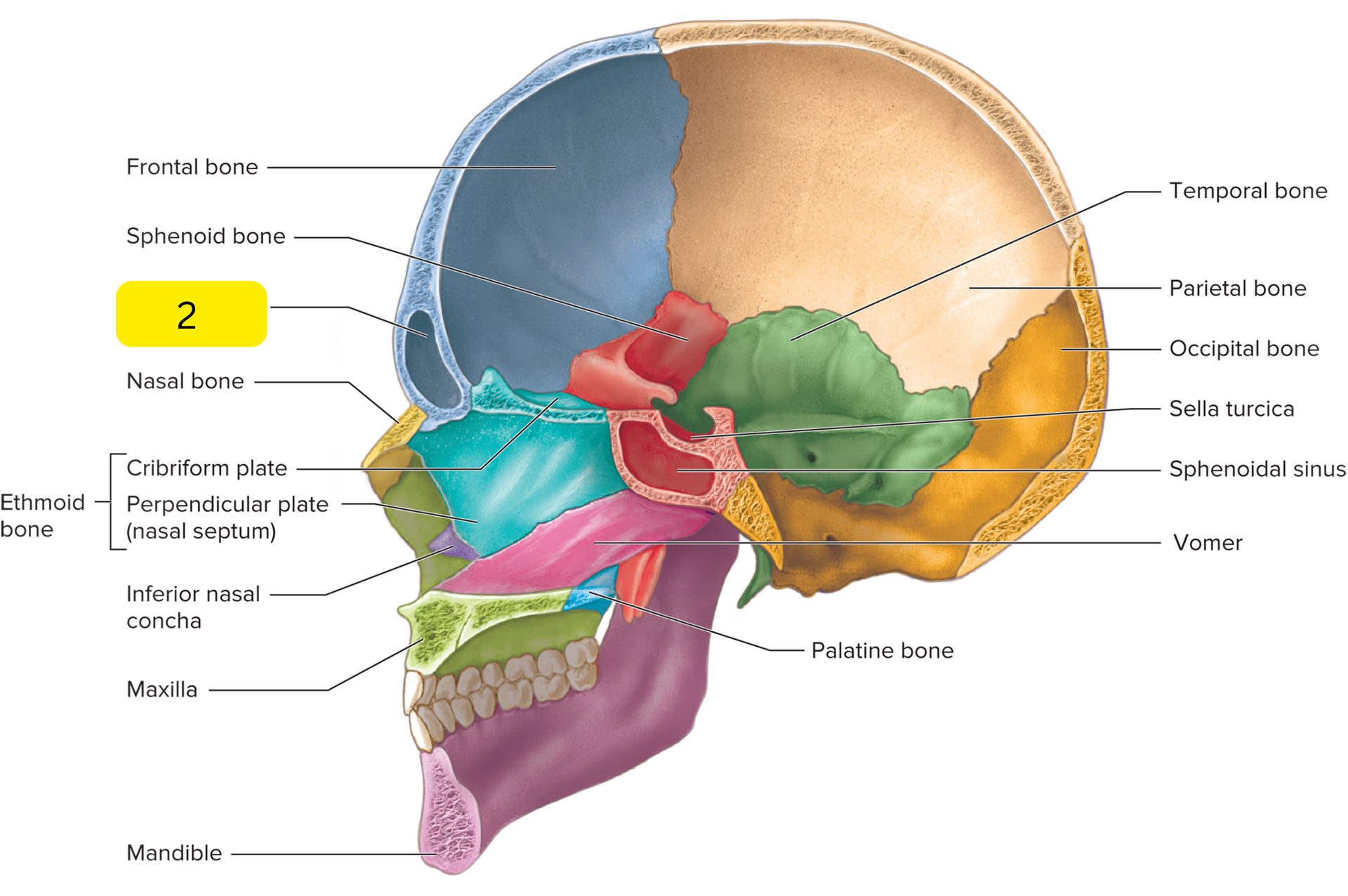 <p>What is #2?</p>