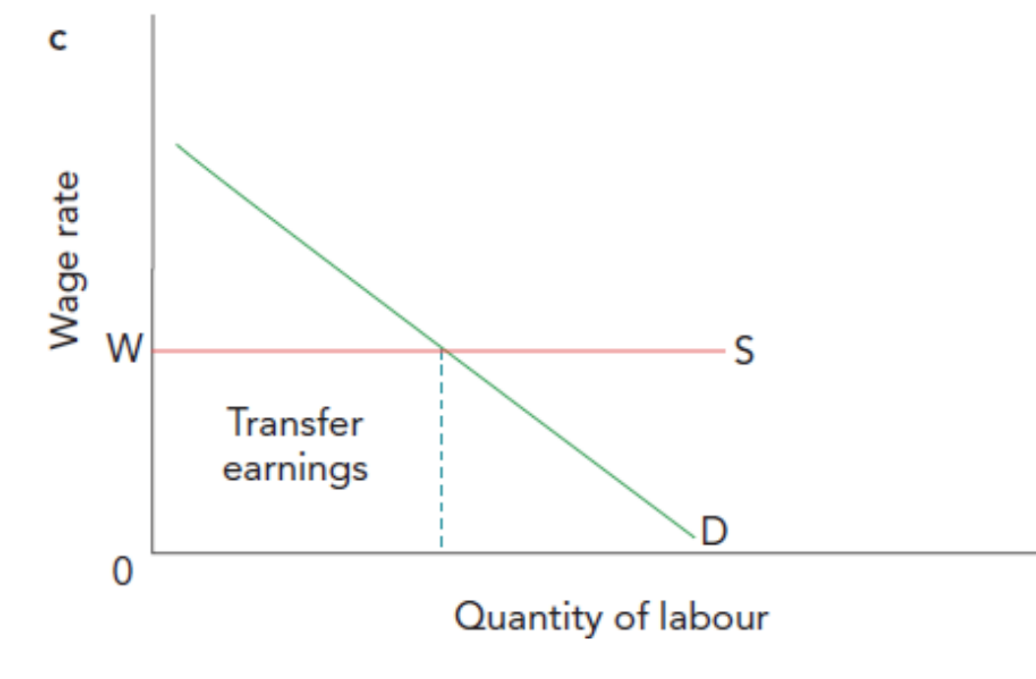 <p>Earnings consist entirely of transfer earnings; employers can hire an infinite supply of labour at the market wage.</p>