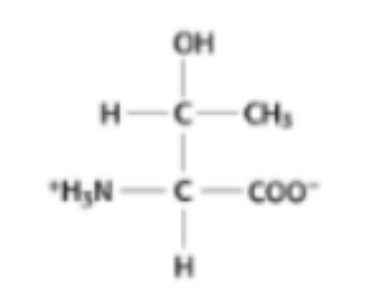 <p>What amino acid is this?</p>
