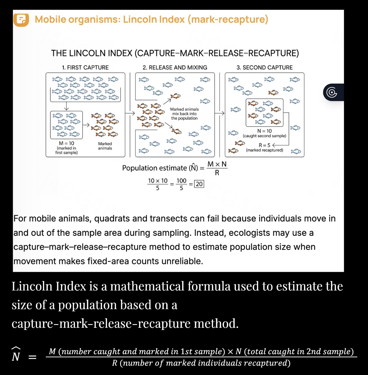 knowt flashcard image