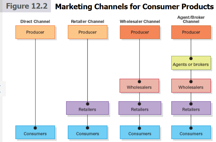 <ul><li><p>direct channel</p></li><li><p>retailer channel → sell to consumers </p></li><li><p>wholesaler channel → buy from different manufacturers to sell to other wholesalers/retailers</p></li><li><p>agent/broker channel → act as a matchmaker b/t buyer and seller </p></li></ul><p></p>