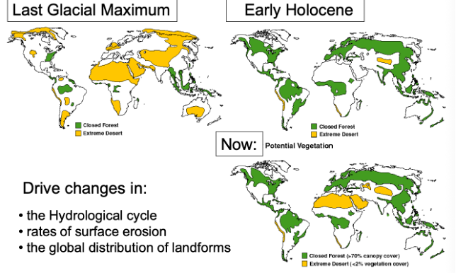 <p>Global vegetation change:</p>