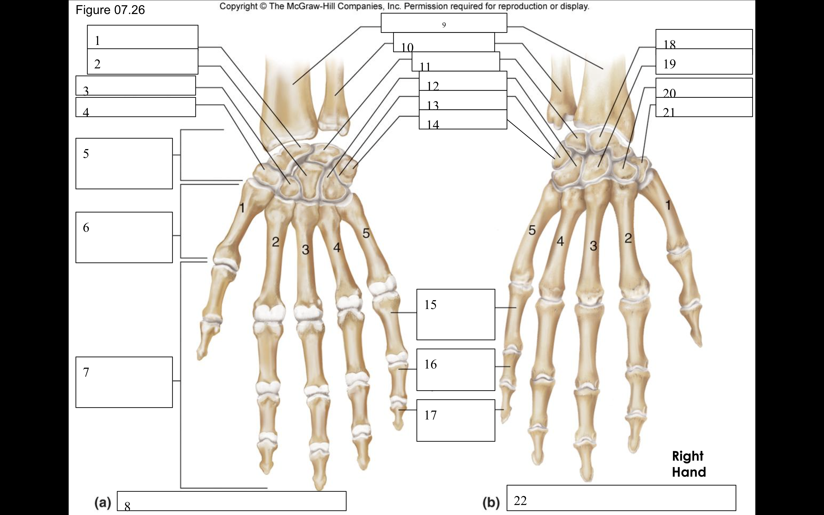 <p>What is 12</p>