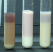 <p>what test is this</p><p>explain the results of each and why </p>