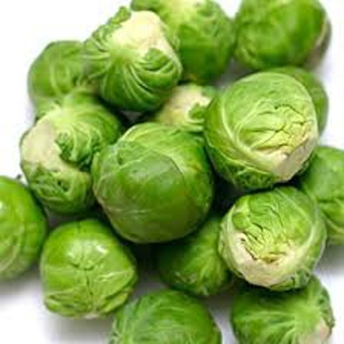 <p>des choux de Bruxelles</p>