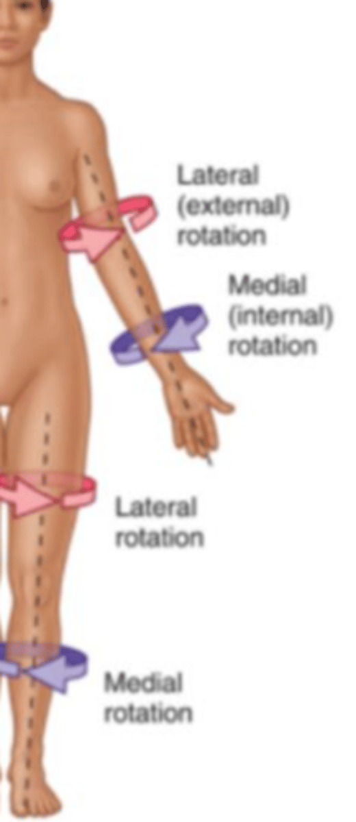 <p>rotation towards the medial (center) of the leg or arm.</p>