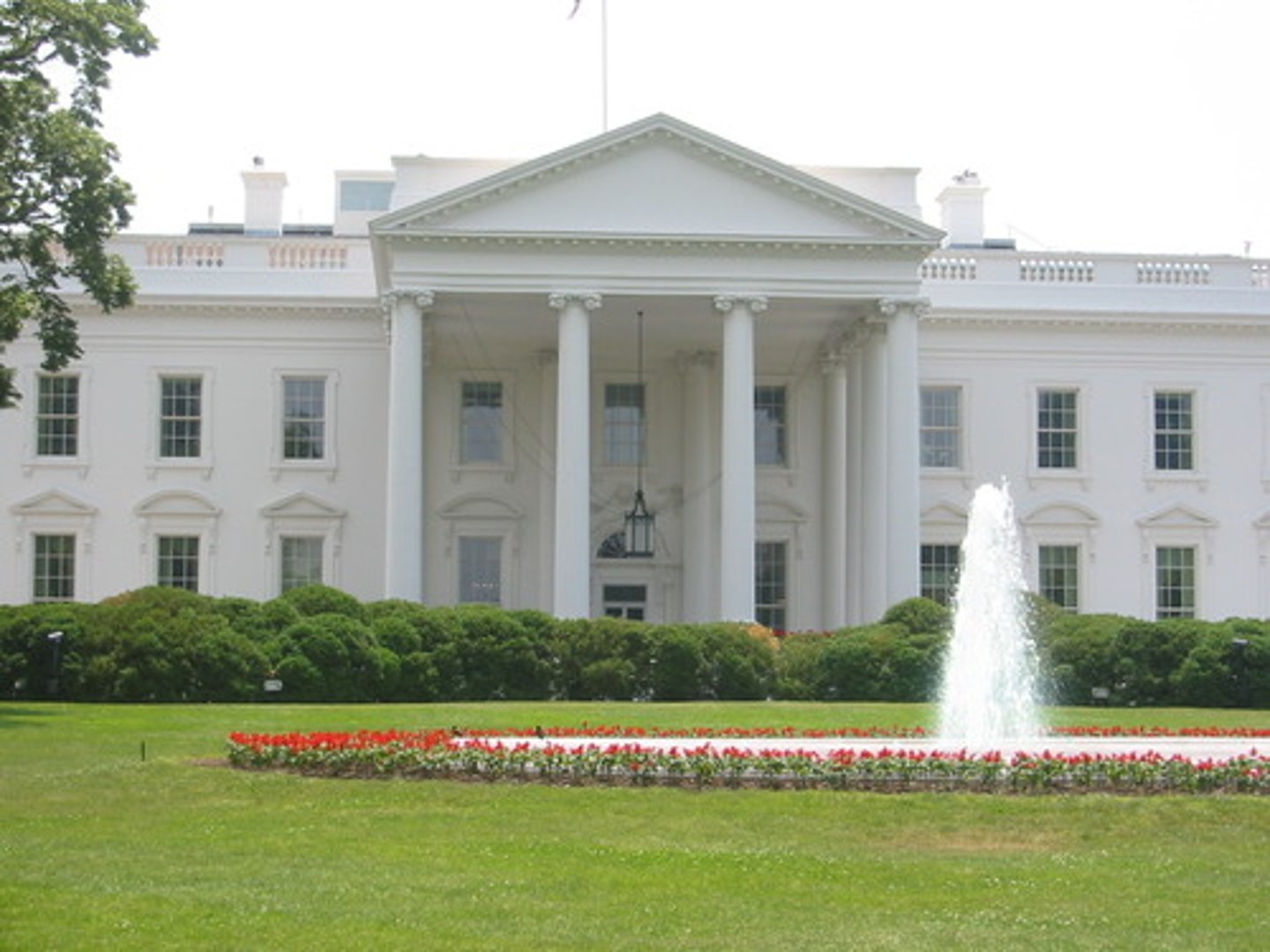 <p>The division of the federal government that includes the President, Vice President, and Cabinet members; enforces the nation's laws.</p>