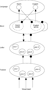 <p>A model for word recognition that incorporates 'language nodes' to manage cross-linguistic activation.</p>