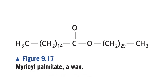 <ol><li><p>nonpolar esters of long-chain fatty acids and long-chain monohydroxylic alcohols. </p></li><li><p>Ex: myricyl palmitate, component of beeswax, ester of palmitate and 30-carbon myricyl alcohol. Hydrophobicity of myricyl palmitate makes beeswax very insoluble and has a high melting point b/c of its hydrophobicity and long saturated chain.</p></li></ol><p></p>