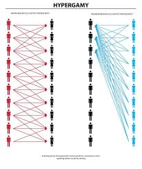 <p>intersexual selection</p>