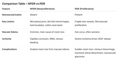 <p>PDR involves new blood vessel growth and more severe retinal damage, while NPDR is characterized by microaneurysms and retinal capillary damage without neovascularization.</p>