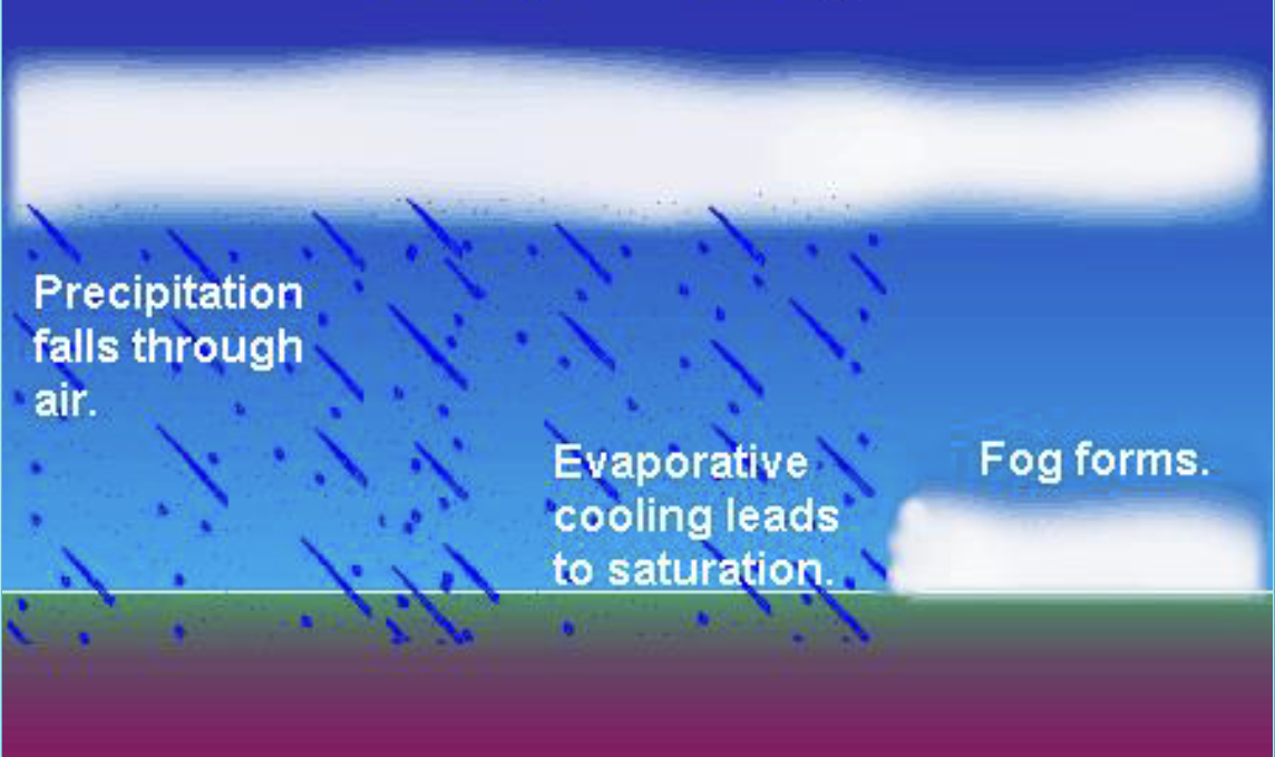 <p>Warm air lifts over cold air which produces clouds. When the cold air below is near the dew point and rain evaporates, fog is produced.</p>