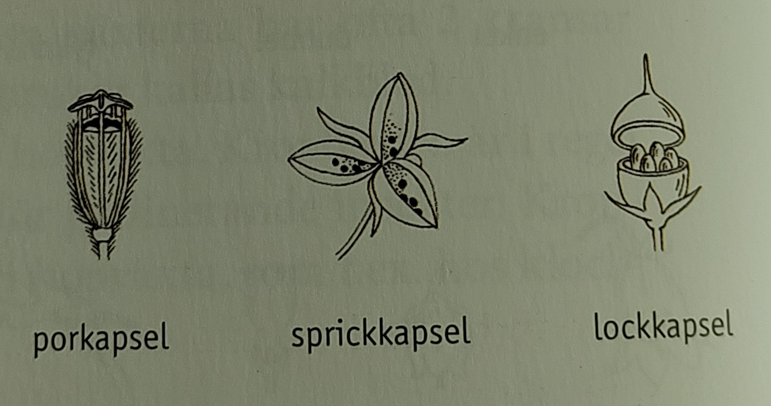 <p></p>