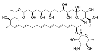 <p>[ANTIFUNGAL DRUGS]</p><p>a. Amphotericin B</p><p>b. Nystatin</p><p>c. Natamycin</p><p>d. Ketoconazole</p><p>e. Itraconazole</p><p>f. Fluconazole</p><p>g. Posaconazole</p><p>h.  Voriconazole</p>