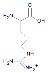 <p>(Arg, R) Basic, positively charged</p>