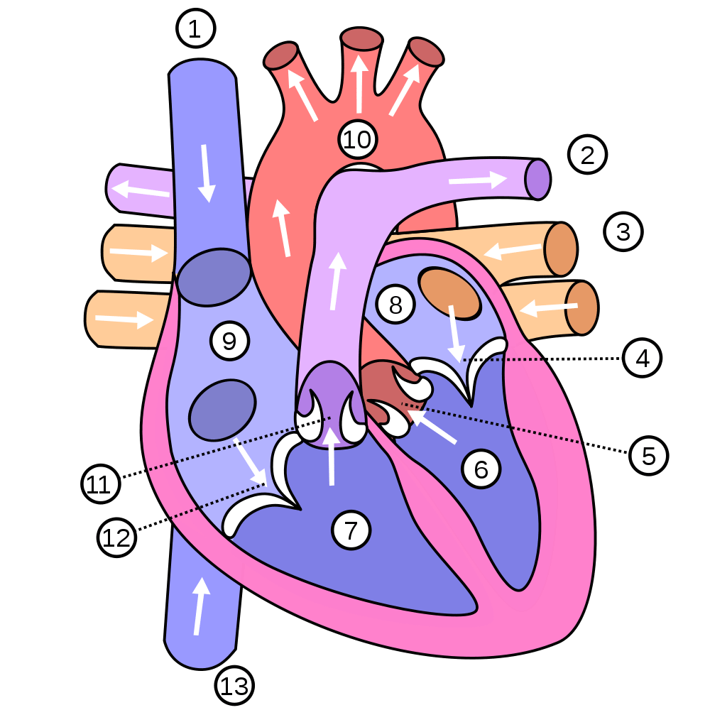 <p>3</p>