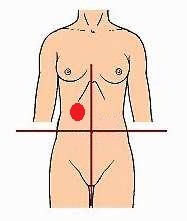 <p>identify the region of the abdomen:</p>