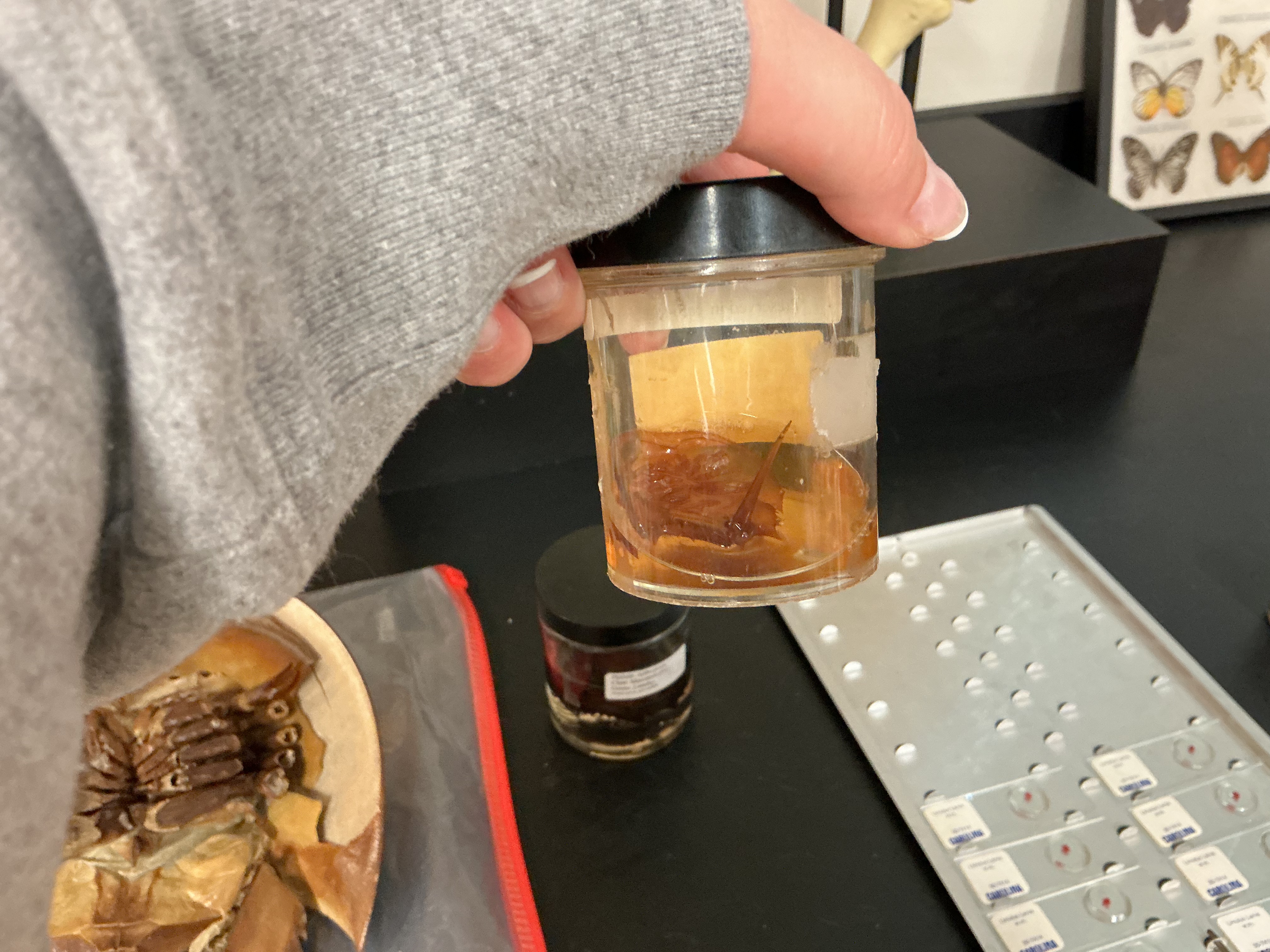 <img src="https://assets.knowt.com/user-attachments/a2d460c3-ce3e-4981-9c2a-4e5ab7b5fa71.jpg" data-width="100%" data-align="center"><p></p>