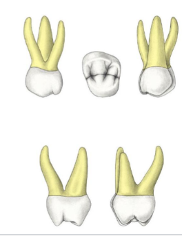 <p>?</p>