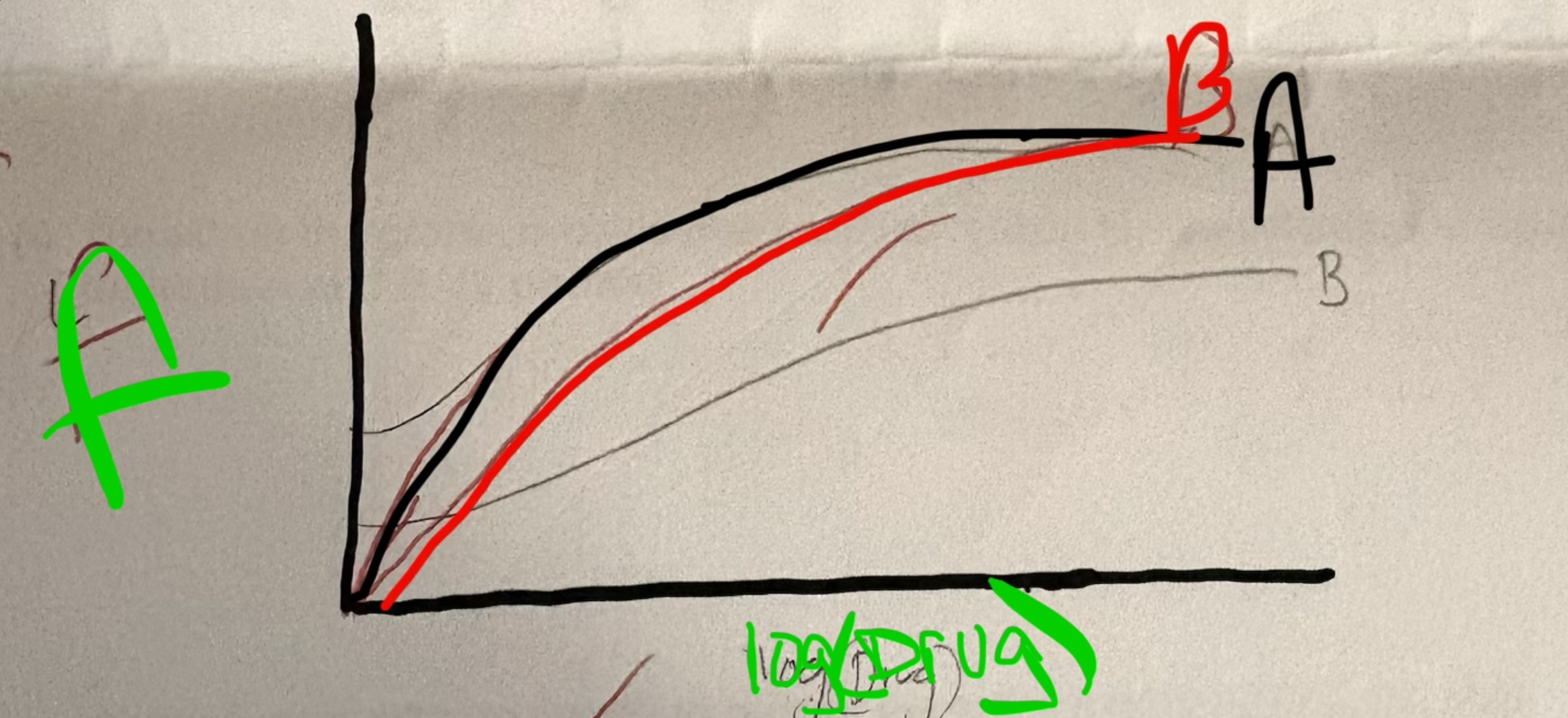<ol start="3"><li><p>Graph of drug a and drug b- labeling and drawing </p></li><li><p>Based on initial graph given, fill in blanks:</p></li></ol><p>Drug A is most likely a BLANK</p><p>Drug B is most likely a BLANK</p>