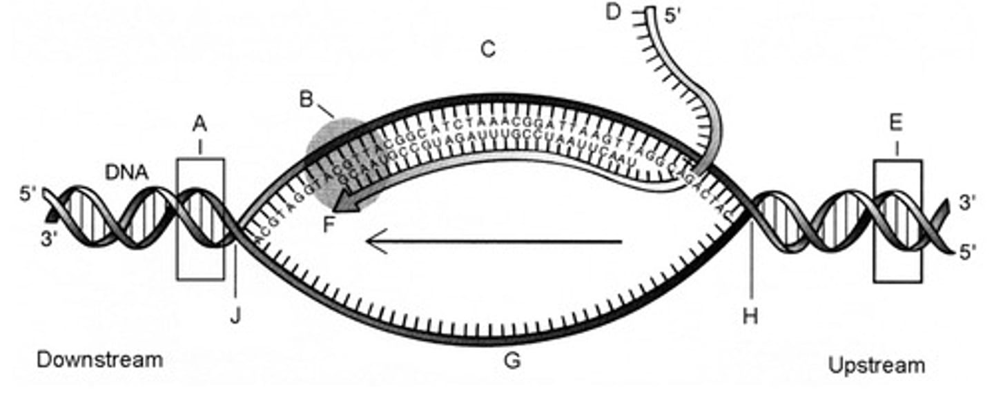 <p>E; D; C</p>