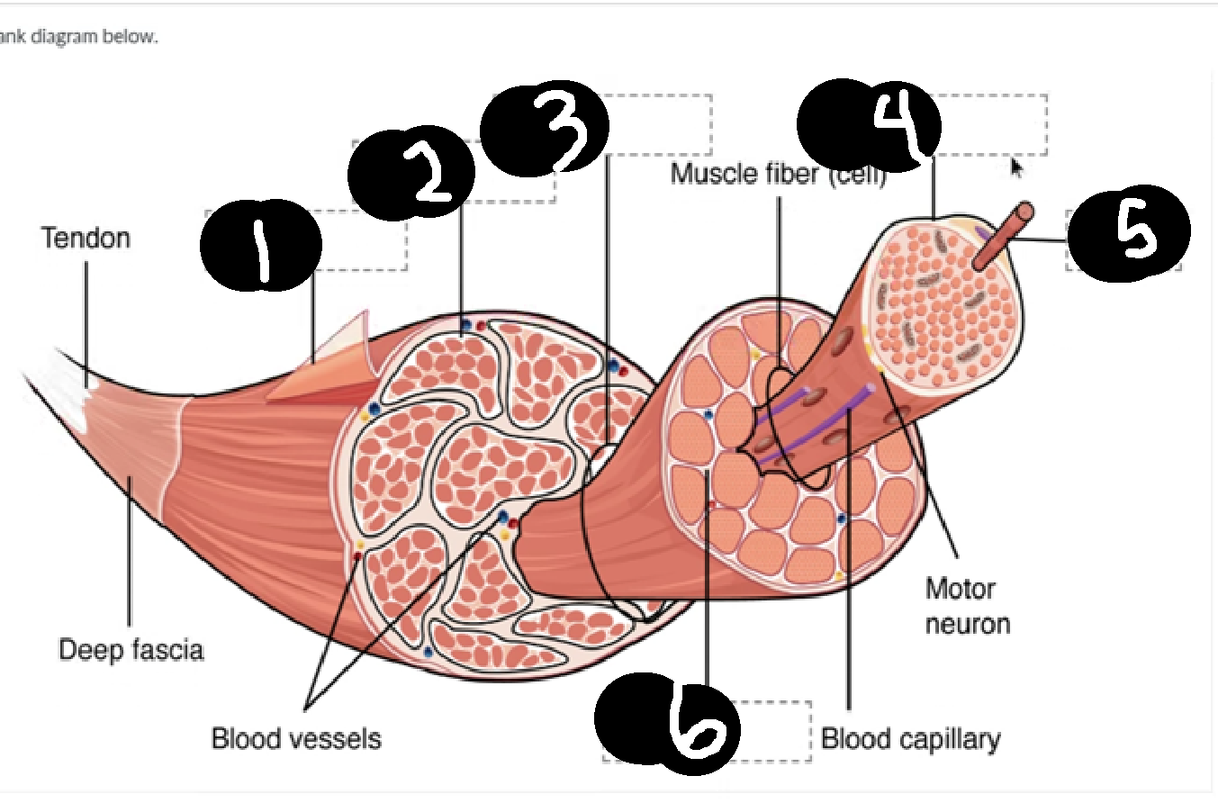 <p>what is number 2</p>