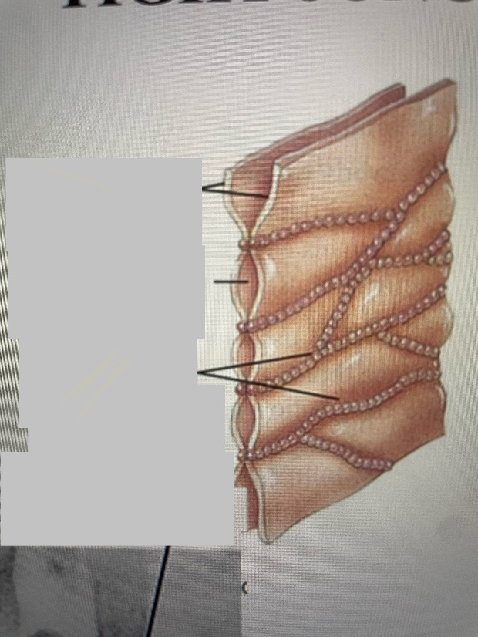 <p>Name the junction and fill in the gaps</p>