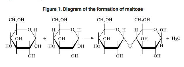 <p>Figure 1 shows the formation of maltose (a disaccharide) from two glucose molecules.<br>Which of the following statements best describes the molecular changes that occur during the reaction shown in Figure 1?</p><p>A) Two hydroxyl groups are removed from each glucose molecule, and one water molecule is formed.</p><p>B) A water molecule is added to the hydroxyl groups to form the covalent bond between the two glucose molecules.</p><p>C) A hydroxyl group from one glucose molecule and a hydrogen atom from the other glucose molecule are removed, and one water molecule is formed.</p><p>D) A hydrogen atom in one glucose molecule and a hydroxyl group in the other glucose molecule form a hydrogen bond.</p>