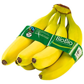 <p></p>