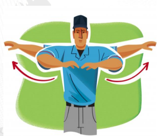 <p>baseball softball</p>