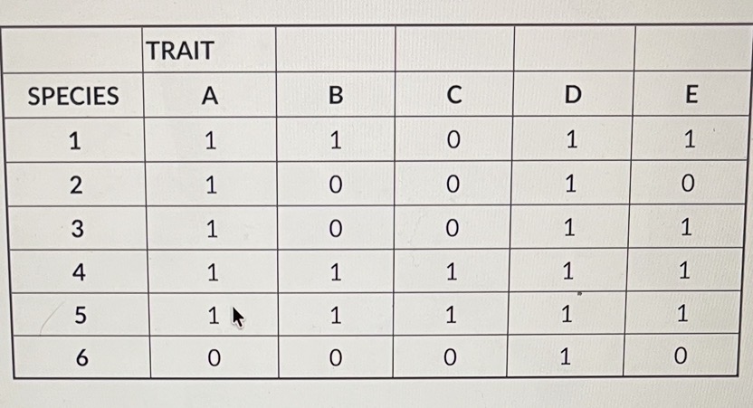 <p><span>The table shows the distribution of traits (A-E) in six extant species (1-</span></p><p><span>6). A "O" indicates the ancestral condition, and a "1" indicates the derived condition. Which pair of species shares the greatest number of derived characters (synapomorphies)?</span></p>